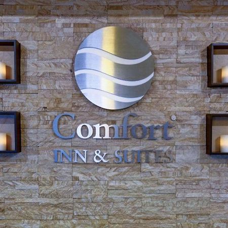 אמארילו Comfort Inn & Suites מראה חיצוני תמונה